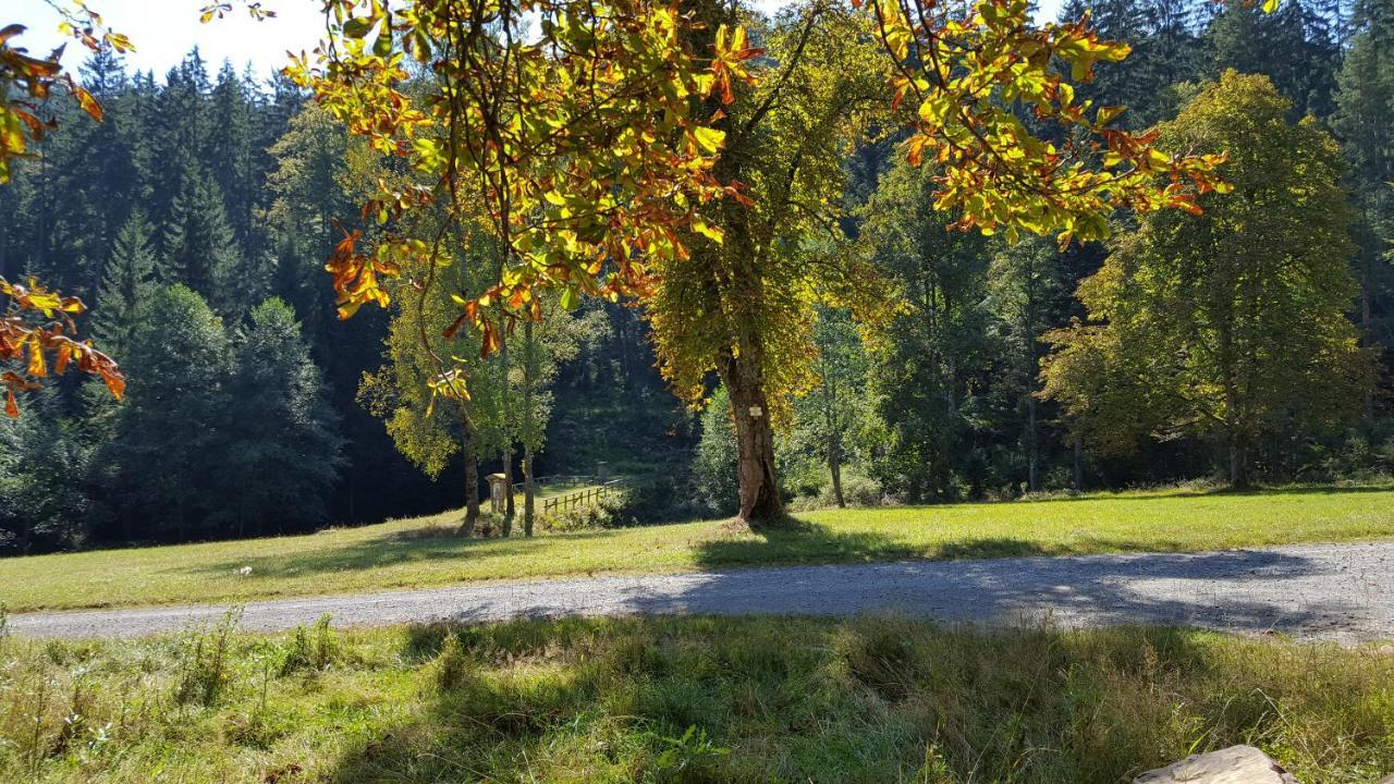 Ferienwohnung Wildbad Sued Bad Wildbad Exteriör bild