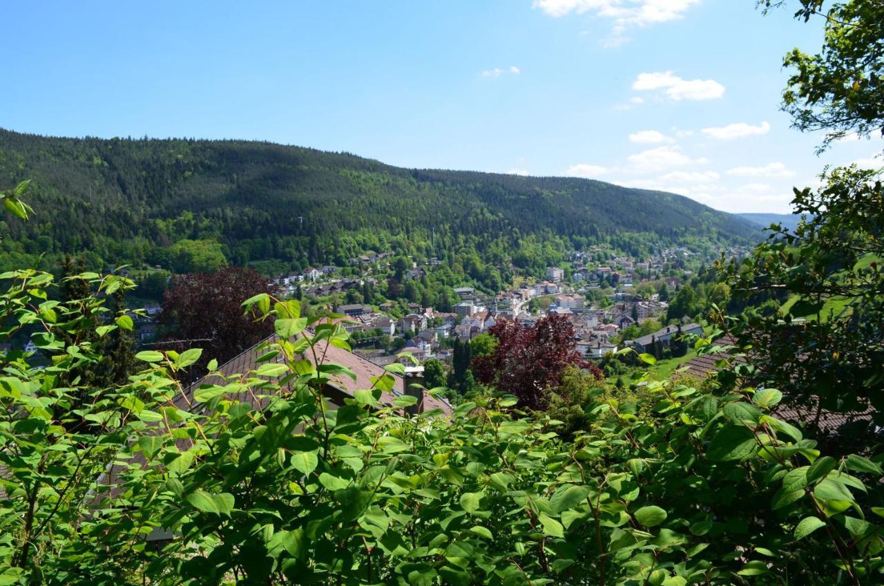 Ferienwohnung Wildbad Sued Bad Wildbad Exteriör bild