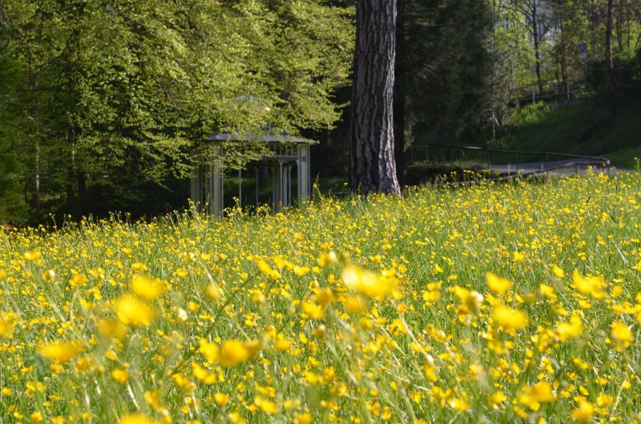 Ferienwohnung Wildbad Sued Bad Wildbad Exteriör bild